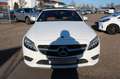 Mercedes-Benz C 200 Cabrio*UNFALL*LEDER*KAMERA*NAVI*KOMFORT-P Blanco - thumbnail 3