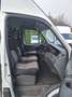 Iveco Daily 35C13 2.3d Trekhaak imperiaal 3.5t TREK 11000Nett Blanc - thumbnail 15