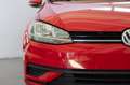 Volkswagen Golf Variant 1.6 tdi Trendline 115cv Rouge - thumbnail 12