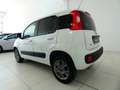 Fiat Panda 1.3 MJT 4x4 75CV POP CLIMBING VAN NETTO IVA Bianco - thumbnail 6