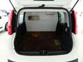Fiat Panda 1.3 MJT 4x4 75CV POP CLIMBING VAN NETTO IVA Wit - thumbnail 16