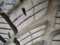 Ford C-Max C-MAX Titanium 2.Hand; Scheckheftgepflegt Schwarz - thumbnail 6