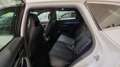 BYD Seal U 1.5 DM-I COMFORT 5P - thumbnail 14