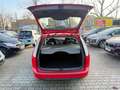 Ford Focus Turnier Style +*1HAND *SCHECKHEFT Rot - thumbnail 21