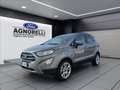 Ford EcoSport 1.0 ecoboost Titanium s&s 125cv Grigio - thumbnail 1