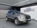 Ford EcoSport 1.0 ecoboost Titanium s&s 125cv Grigio - thumbnail 7
