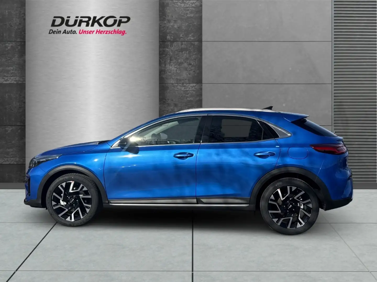 Kia XCeed Platinum 1.5 T-GDI DCT7 Panorama Navi Digitales Co Blau - 2
