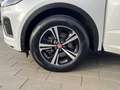 Jaguar E-Pace Plug-in-Hybrid P300e AWD R-Dynamic S Weiß - thumbnail 14