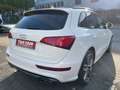 Audi SQ5 3.0 TDI quattro Weiß - thumbnail 5