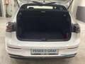 Volkswagen Golf VIII 50 Jahre Style 1.5eTSI 110kW Pano HUD Weiß - thumbnail 10