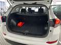 Hyundai TUCSON 1.7CRDI BD Tecno 4x2 Bianco - thumbnail 10