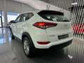Hyundai TUCSON 1.7CRDI BD Tecno 4x2 Bianco - thumbnail 3