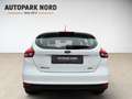 Ford Focus /1.Hand/KLIMA/ZM+WP NEU! Weiß - thumbnail 7