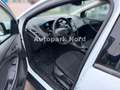 Ford Focus /1.Hand/KLIMA/ZM+WP NEU! Weiß - thumbnail 15