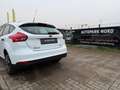 Ford Focus /1.Hand/KLIMA/ZM+WP NEU! Weiß - thumbnail 17