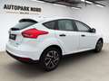 Ford Focus /1.Hand/KLIMA/ZM+WP NEU! Weiß - thumbnail 4