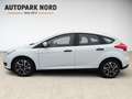 Ford Focus /1.Hand/KLIMA/ZM+WP NEU! Weiß - thumbnail 5
