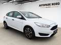 Ford Focus /1.Hand/KLIMA/ZM+WP NEU! Weiß - thumbnail 2