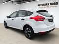 Ford Focus /1.Hand/KLIMA/ZM+WP NEU! Weiß - thumbnail 3