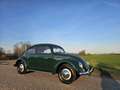 Volkswagen Kever Ovaal 2.200 kilometer na restauratie 1953 Verde - thumbnail 3
