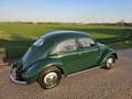 Volkswagen Kever Ovaal 2.200 kilometer na restauratie 1953 Verde - thumbnail 7