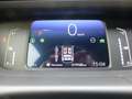 Honda Jazz Hybrid e:HEV 1,5 i-MMD Crosstar Advance Grün - thumbnail 12
