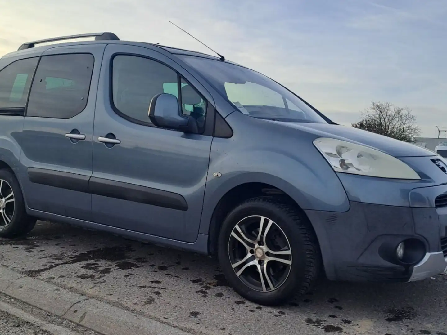 Peugeot Partner Tepee 1.6 i 90 cv Blauw - 2