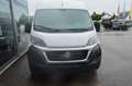 Fiat Ducato Hochr.-Kasten 35 130 L2H2 RS: 3450 mm - thumbnail 5