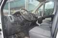 Fiat Ducato Hochr.-Kasten 35 130 L2H2 RS: 3450 mm - thumbnail 9