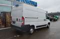 Fiat Ducato Hochr.-Kasten 35 130 L2H2 RS: 3450 mm - thumbnail 4