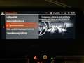 BMW 840 d xDrive M Sport*KEY*360*ST-HEIZ*DRIVING*H Orange - thumbnail 20