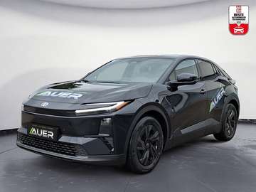 Elektro 77kWh Teamplayer