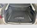 Audi A6 Avant 45 TDI quattro Tiptronic Beige - thumbnail 14