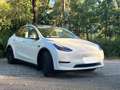 Tesla Model Y Model Y Long Range Dual Motor AWD Белый - thumbnail 2