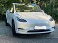 Tesla Model Y Model Y Long Range Dual Motor AWD Белый - thumbnail 4
