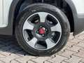 Fiat Panda 1.0 FireFly S&S Hybrid Cross #5.posti Bianco - thumbnail 15