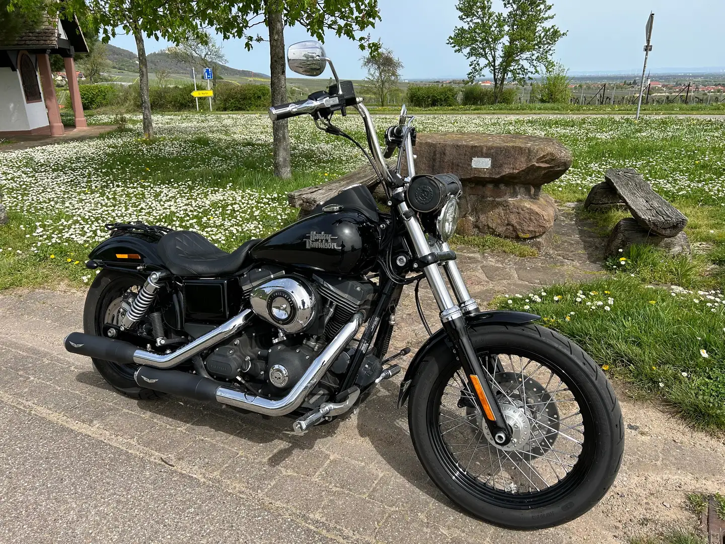 Harley-Davidson Dyna Street Bob Noir - 1
