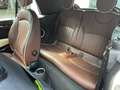 MINI Cooper Cabrio 1. Hand/Leder/Klima/PDC Weiß - thumbnail 10