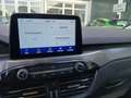 Ford Kuga Plug-In Hybrid Titanium X Gris - thumbnail 6
