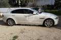 Jaguar XE XE 2.0 D Turbo 180CV aut. Prestige Blanc - thumbnail 4