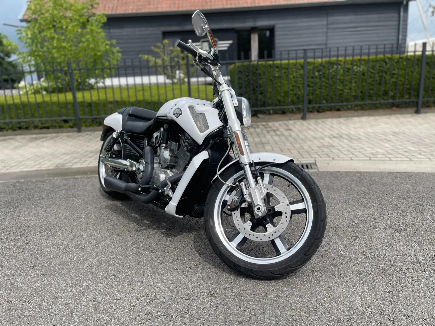 Harley-Davidson V-Rod Chopper VRSCF Muscle STAGE.1 Vance & Hines Nl Gele Wit - 2
