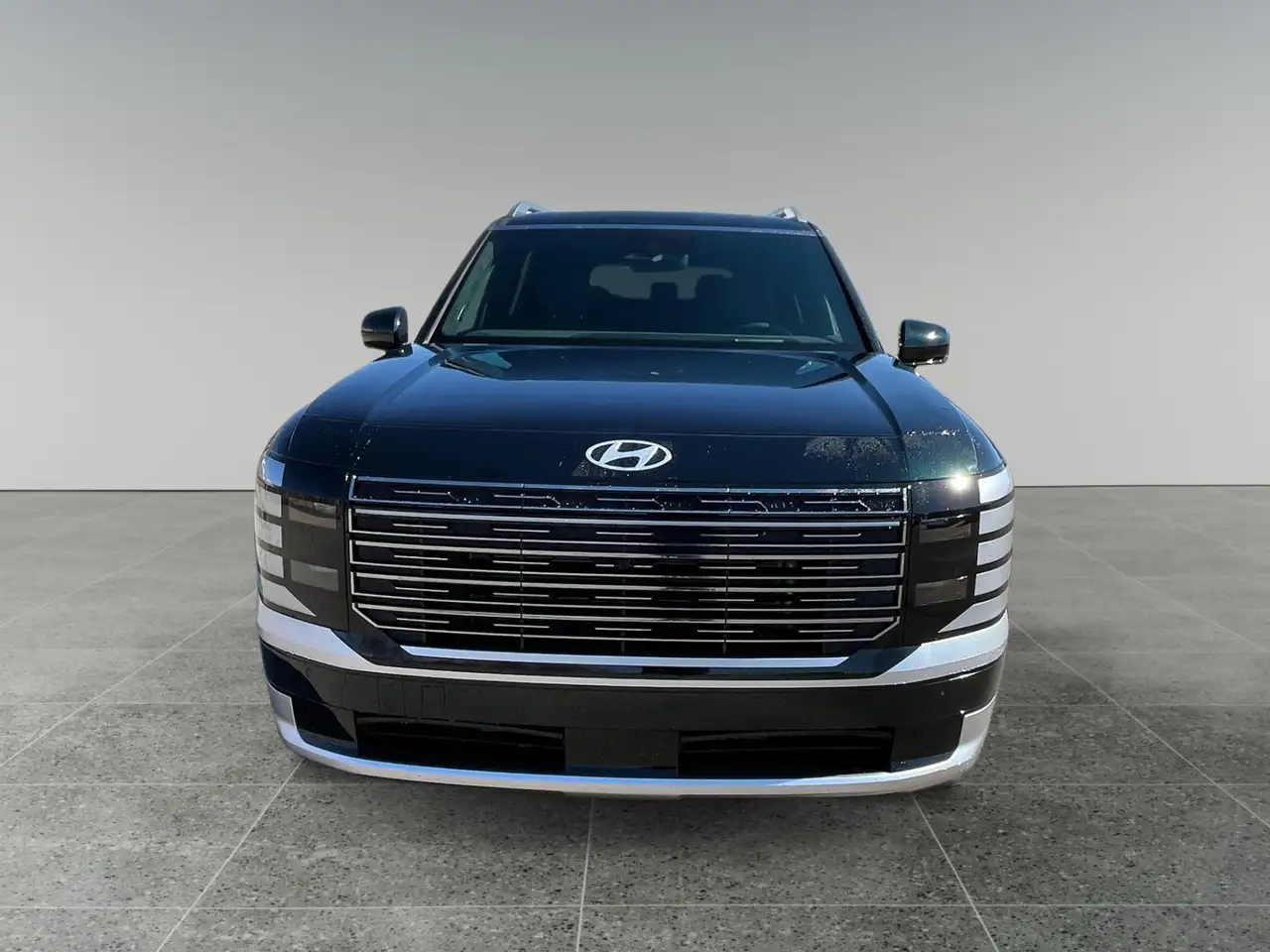 Hyundai PALISADE снимка Hyundai PALISADE
