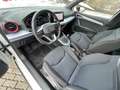 SEAT Arona FR 1.0 TSI ACC NAVI LED VIRTUAL Weiß - thumbnail 13