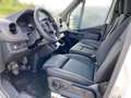 Mercedes-Benz Sprinter 317 Mixto L2H2 Klima*Standhzg*AHK 3,5t Weiß - thumbnail 7
