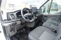 Ford Transit Kasten 350 L3H3 Trend / Expressline Blanco - thumbnail 6