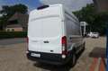 Ford Transit Kasten 350 L3H3 Trend / Expressline Blanco - thumbnail 4