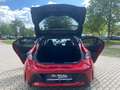 Toyota Corolla Hybrid Club*LED*KAMERA*ACC* Rot - thumbnail 10