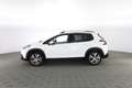 Peugeot 2008 2008 PureTech Turbo 130 S&S Allure Bianco - thumbnail 6