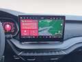 Skoda Octavia Combi RS 2.0 TSI DSG ACC AHK Facelift Grün - thumbnail 13