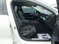 Volvo V60 Plus Dark T8 AWD Plug-in Hybrid/Pano/H&K/360 Weiß - thumbnail 10